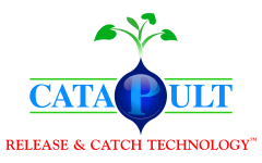 Image: CataPult Logo