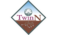 Image: TwinN Logo